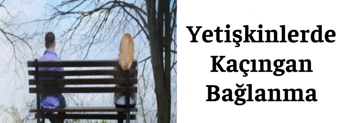 Yetişkinlerde Kaçıngan Bağlanma